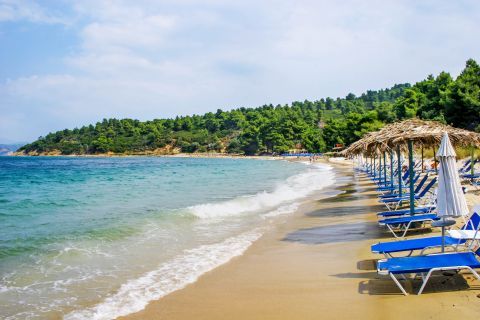 Agia Eleni: Umbrellas and sun decks by the sea.