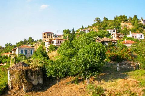 Parthenonas: Parthenonas is a small traditional village, perched on the green slopes of a mountainside.