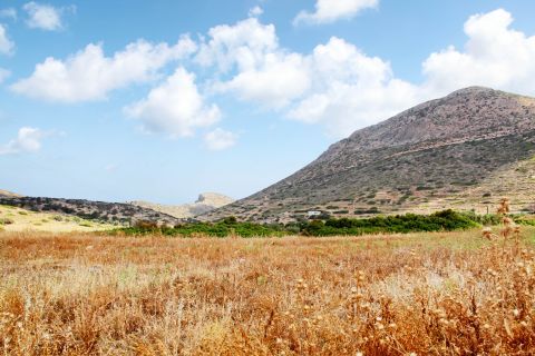 Kalofana: Plains and hills with vegetation