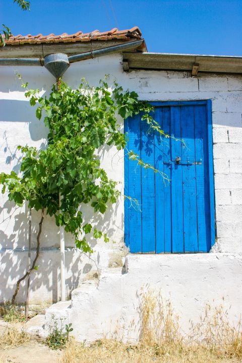 Agios Leon: White and blue colored building.