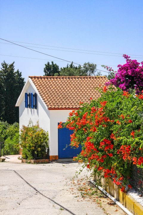 Chorio: A rural house with a beautiful garden.