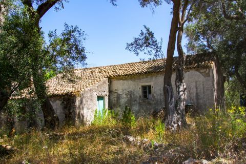 Chorio: An abandoned house, surrounded by trees and vegetation.