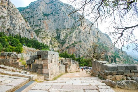 Ancient Site: Exploring the ancient sites of Delphi.