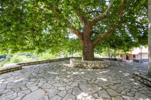Vafkeri: A tranquil spot, shaded by a tall tree.