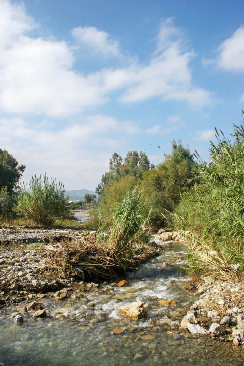 Alikianos: River waters and vegetation