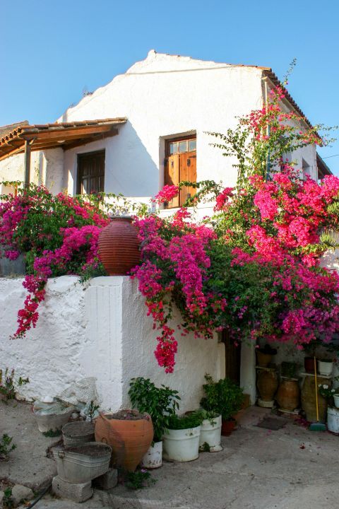 Spilia: A vintage house with fuchsia flowers and ceramic vases