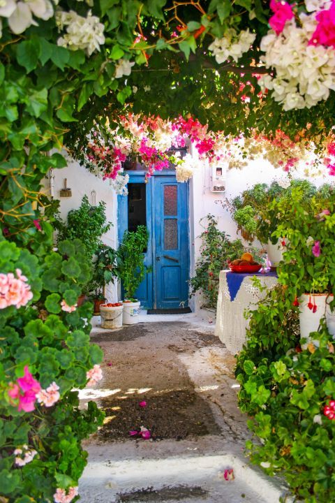 Kritinia: A beautiful house with colorful flowers.