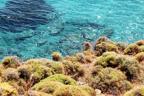Psili Ammos: Amazing crystal clear waters and short vegetation