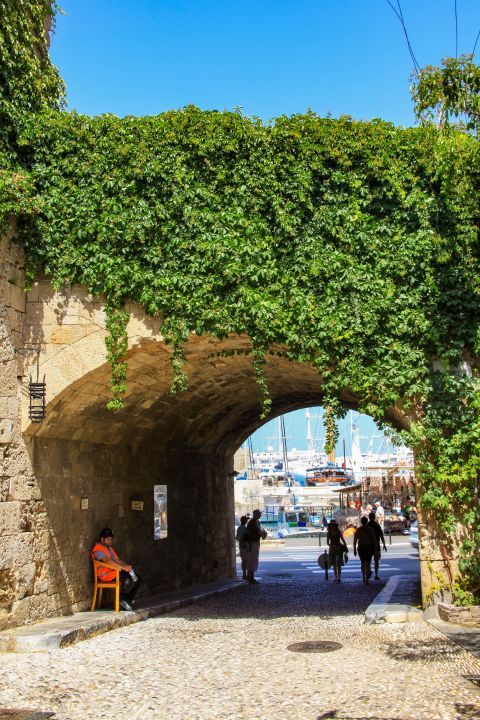 Town: Stone built arch with dense vegetation and view of the port.