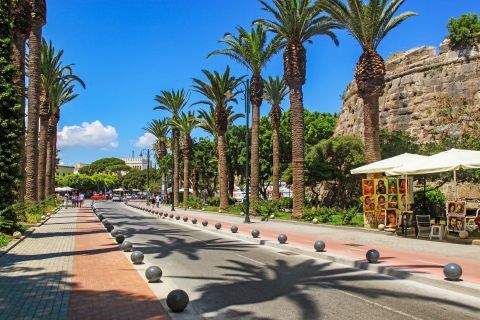 Town: Avenue with palm trees, Kos Town.