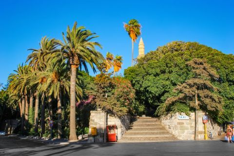 Town: Lush vegetation and beautiful trees in Kos Town.