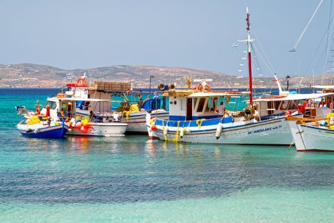 Agia Anna Village: Fishing boats