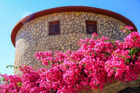 Kambos: Impressive architecture and colorful flowers.