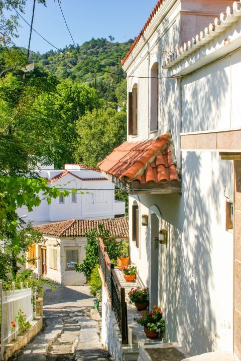Karlovassi: Picturesque houses and dense vegetation.