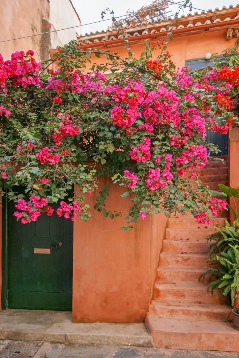 Town: A beautifully decorated house with lovely fuchsia flowers in its yard.