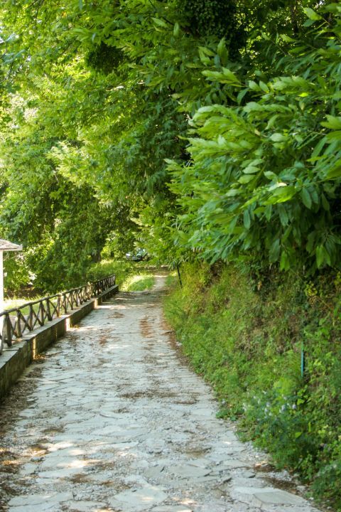 Tsagarada: A quiet path that boasts incredible natural beauty.