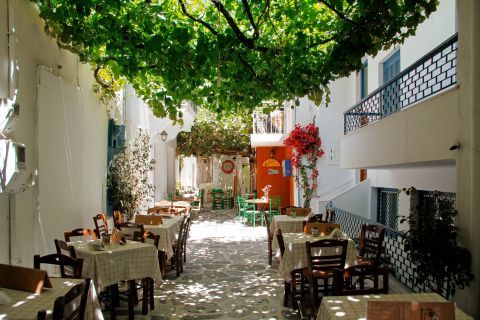 Town: Eat and drink under the shade of vines and trees.