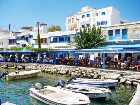 Apollonas: A local eatery situated by the sea