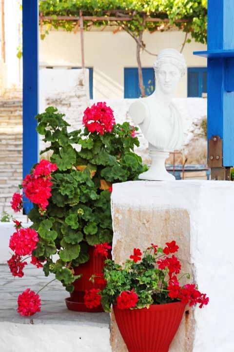 Apollonas: Beautiful flowers and a marble statue