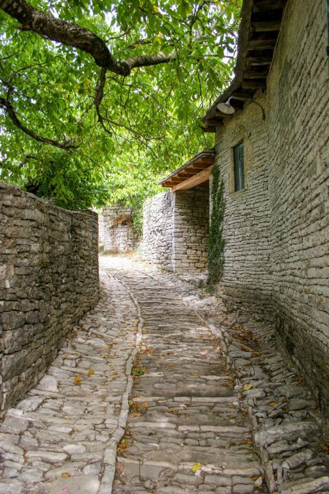 Monodendri: A narrow alley.