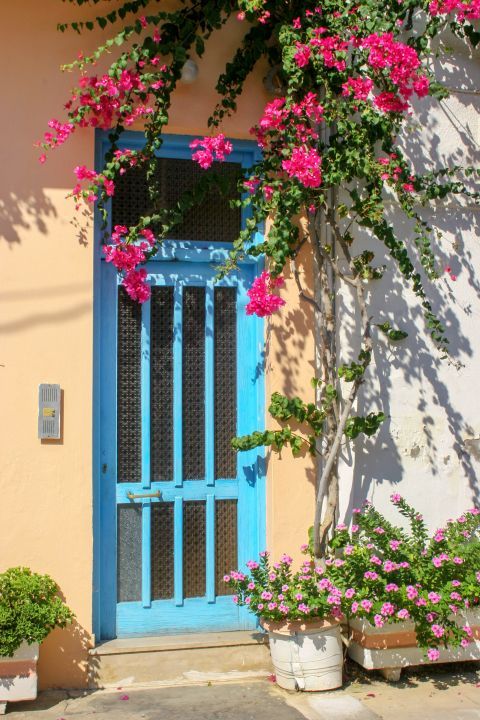 Paleochora: Beautiful flowers and a blue colored door
