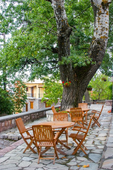 Town: Enjoy a cup of coffee or a snack under the shade of trees.