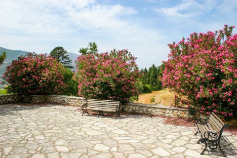 Poros: A tranquil spot with benches and fuchsia flowers.
