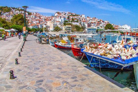 Town: The picturesque harbor of Chora.