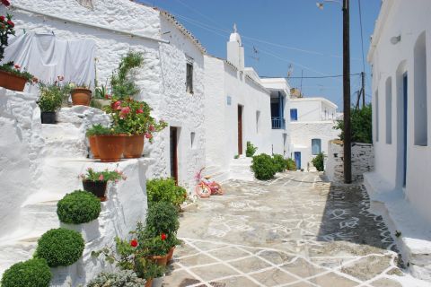 Chora: A Cycladic neighborhood