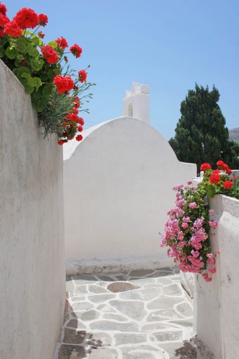 Chora: Beautiful flowers outside a whitewashed house