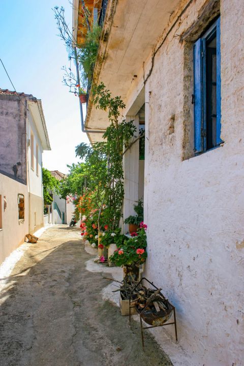 Spartochori: A narrow street.