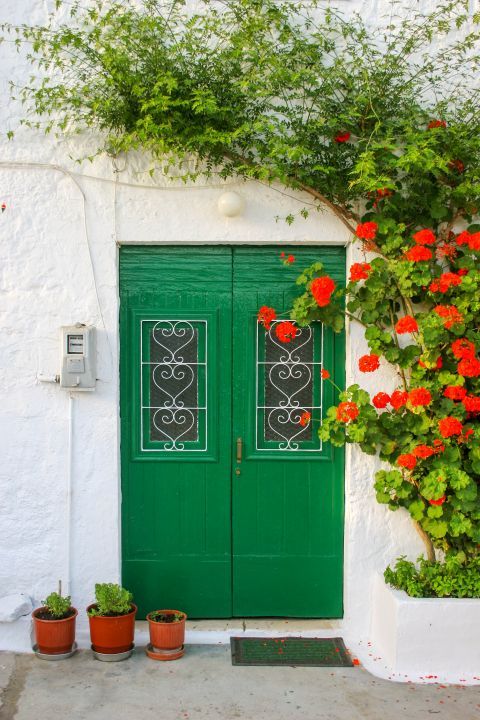 Vathy: A green colored door and colorful flowers.