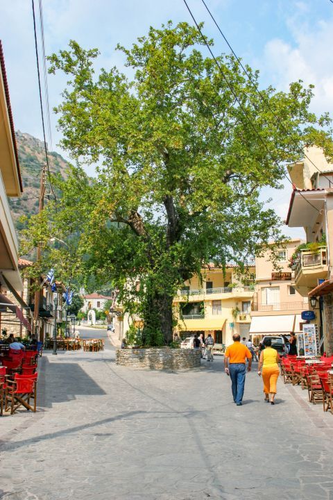 Town: A central spot in Mystras Town.