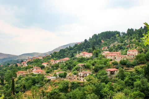 Town: Picturesque settlement, surrounded by dense vegetation.