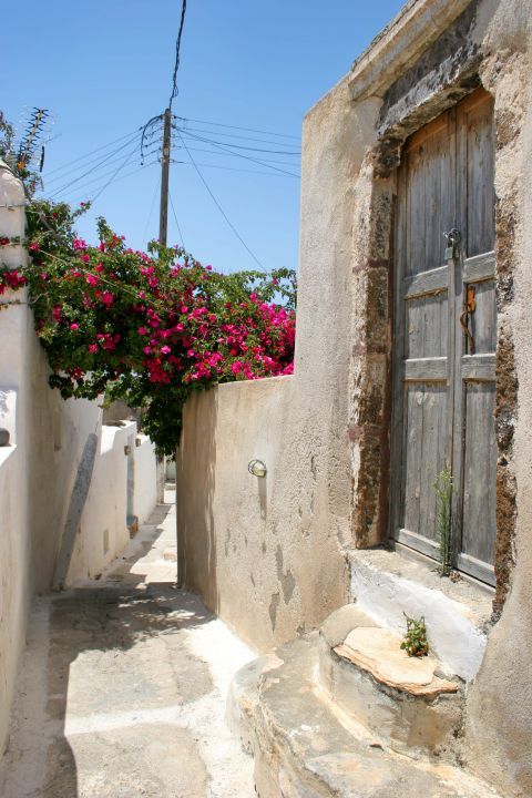 Emporio: An old Cycladic house with colorful flowers