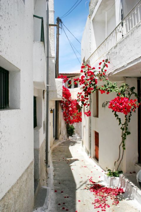 Egares: Whitewashed houses with colorful flowers