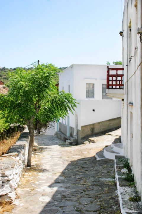 Potamia: A tree and some Cycladic houses