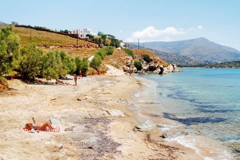 Agios Petros: Some trees are spotted on Agios Petros beach
