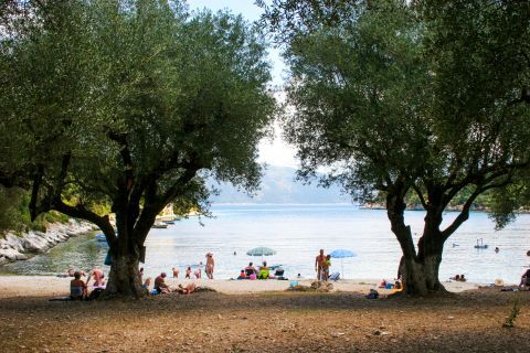 Foki Fiskardo: Trees on Foki beach, providing shade